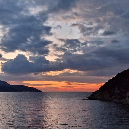 La Terrazza Sul Forno - Goelba Lejlighed Portoferraio Eksteriør billede